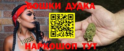 PSILOCYBIN Владимир